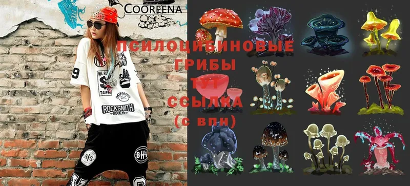 купить закладку  Белорецк  Псилоцибиновые грибы MAGIC MUSHROOMS 